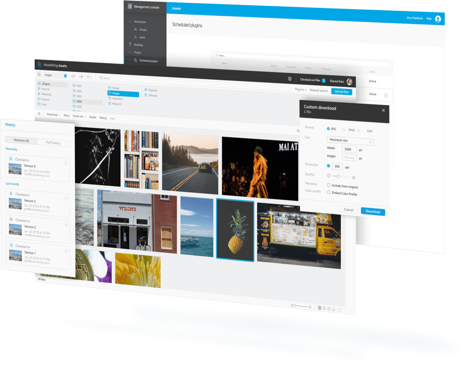 Optimierung der Asset-Plugins für Woodwing DAM-Software 